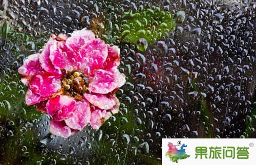 雨后效果